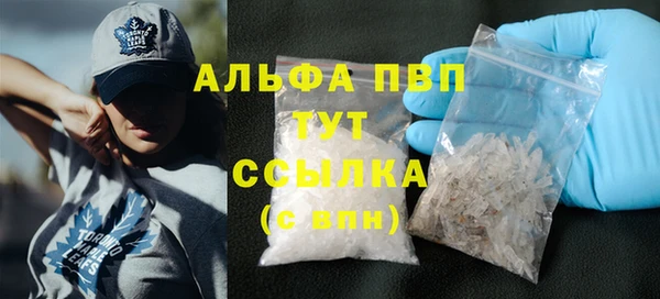 дживик Анжеро-Судженск