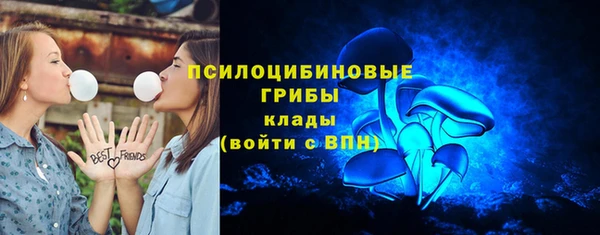 сатива Михайлов