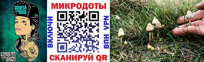 наркота  Карталы  Галлюциногенные грибы Psilocybe 
